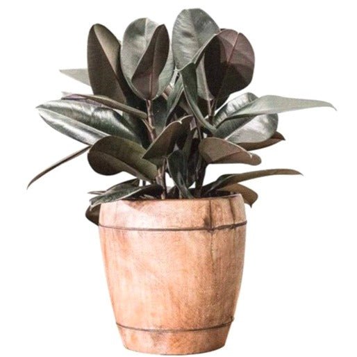teak plant pot ANTIQUE TEAK PLANTER– Green Design Gallery