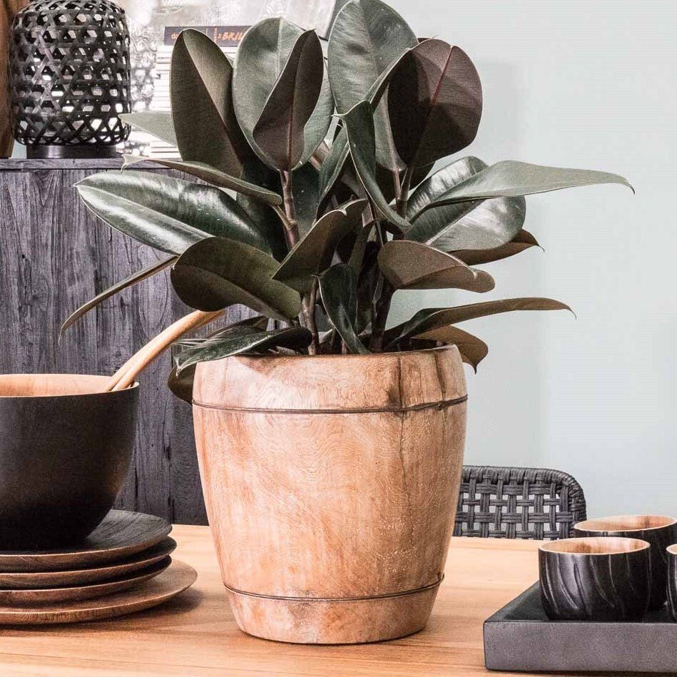 ANTIQUE TEAK PLANTER - Green Design Gallery