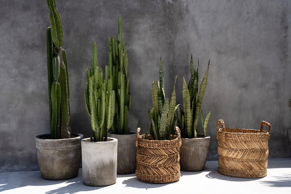 BANANA ZIGZAG BASKETS | 2 SIZES - Green Design Gallery