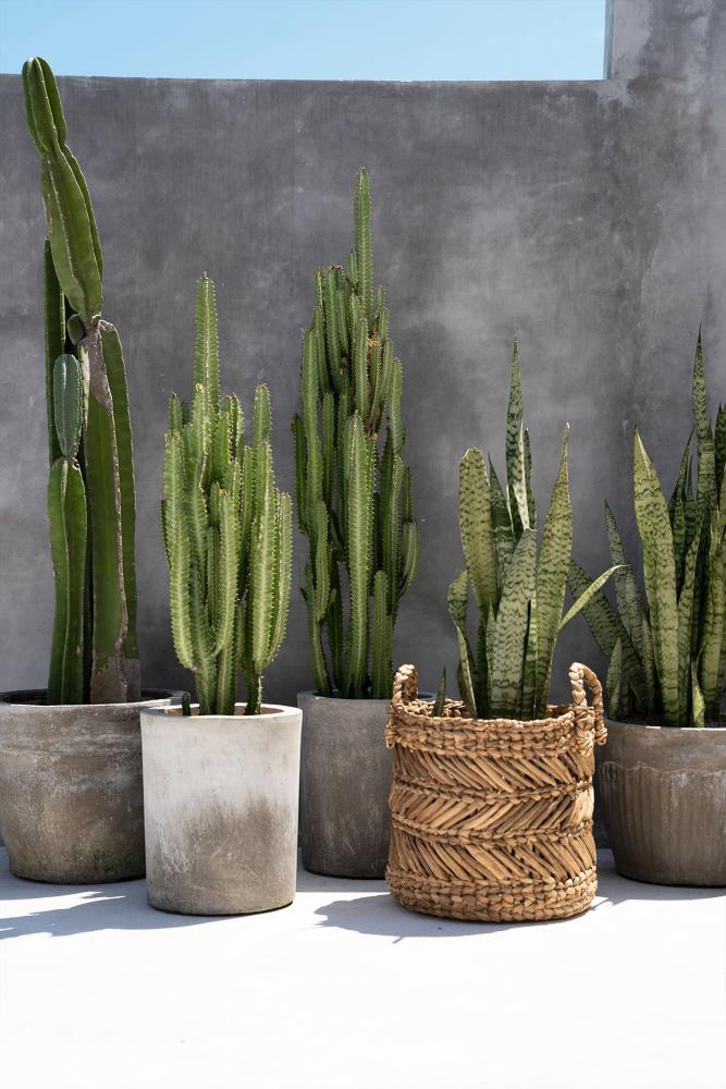 BANANA ZIGZAG BASKETS | 2 SIZES - Green Design Gallery