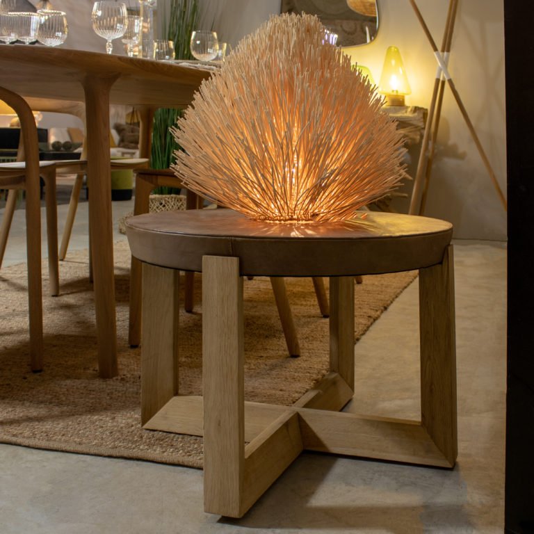 BANGOR SIDE - COFFEE TABLE | LEATHER TOP - Green Design Gallery