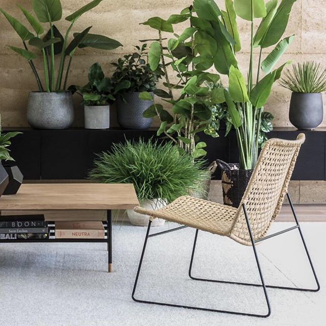 BELLA LOOM LOUNGE CHAIR (2 FINISHES) - Green Design Gallery