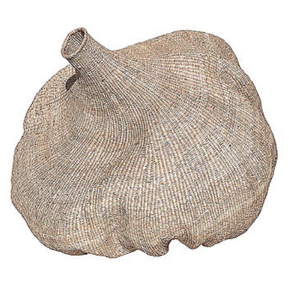 Bulawayo Gourds | Fair Trade | 3 SIZES - Green Design Gallery