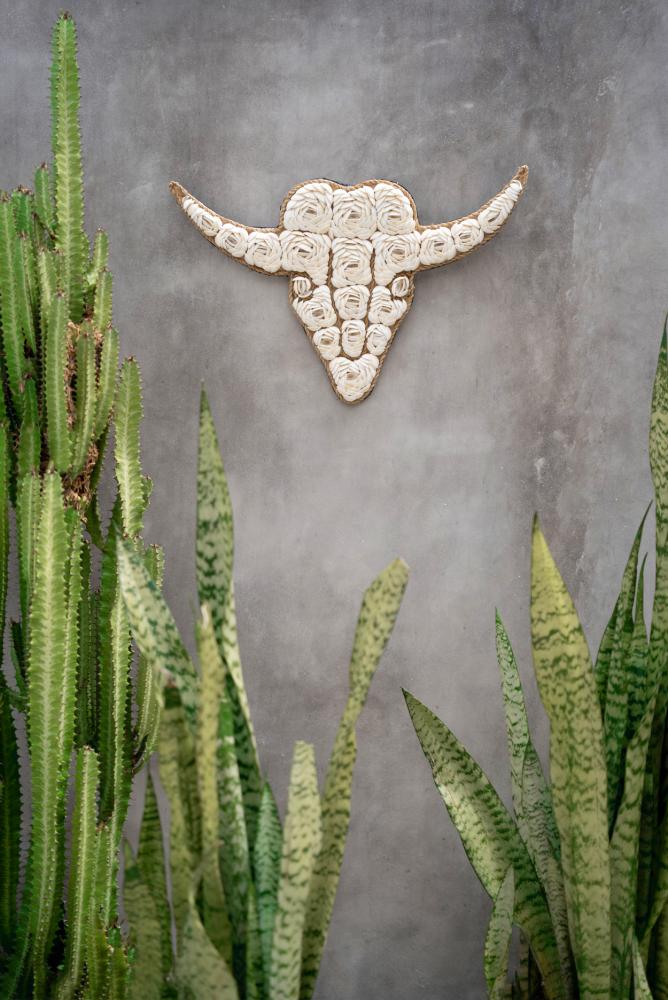 BULL SHELL WALL ART | WHITE - Green Design Gallery