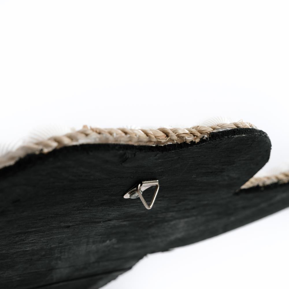 BULL SHELL WALL ART | WHITE - Green Design Gallery