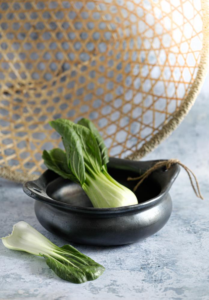 BURNED TERRACOTTA POT WITH LID + HANDLES | BLACK - Green Design Gallery