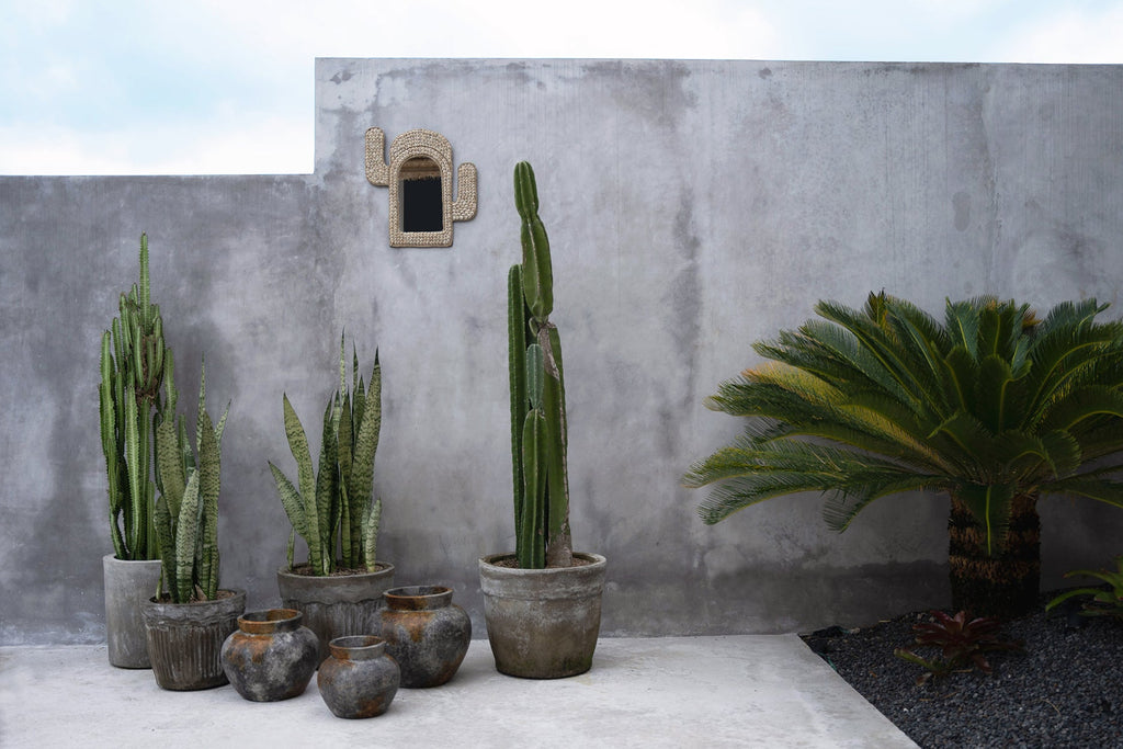 CACTUS SHELL MIRROR | WALL ART | WHITE - Green Design Gallery