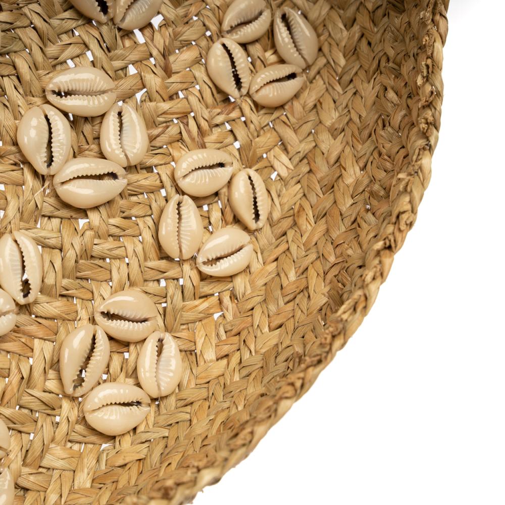 CARIBE SHELL PLATE WALL ART | NATURAL + WHITE - Green Design Gallery