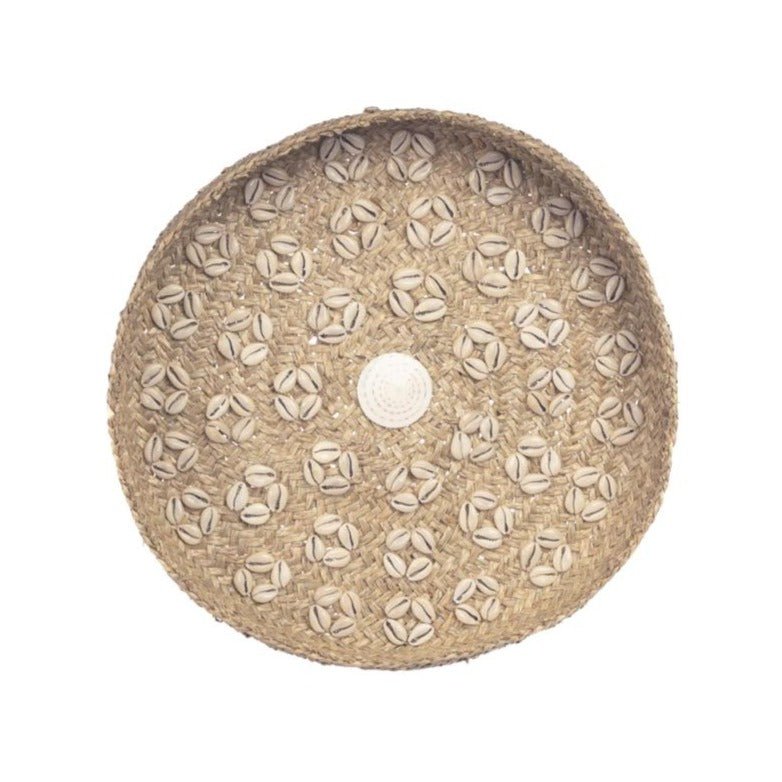 CARIBE SHELL PLATE WALL ART | NATURAL + WHITE - Green Design Gallery