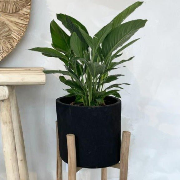 CHALK PLANTER | BLACK | 2 SIZES - Green Design Gallery