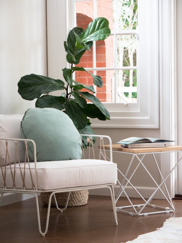 COPEN SIDE TABLE / OAK - Green Design Gallery