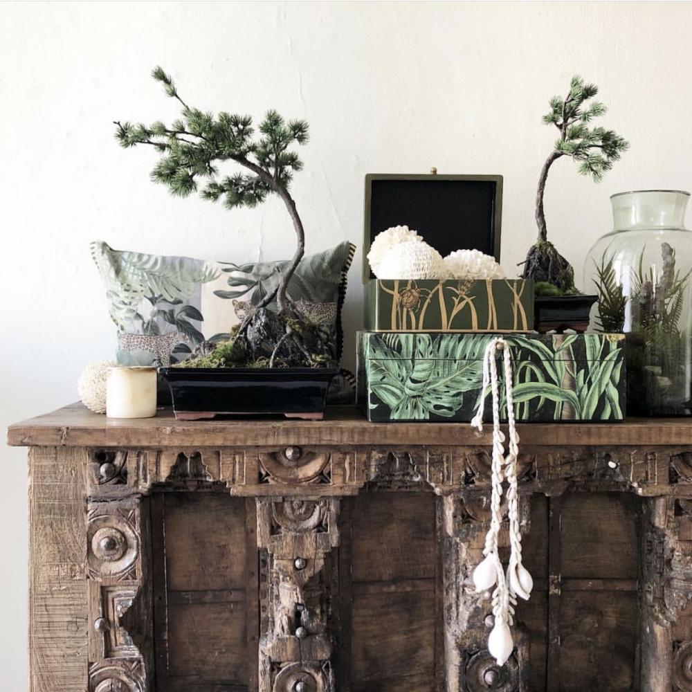 Cowrie Shell Necklace | Natural + White - Green Design Gallery