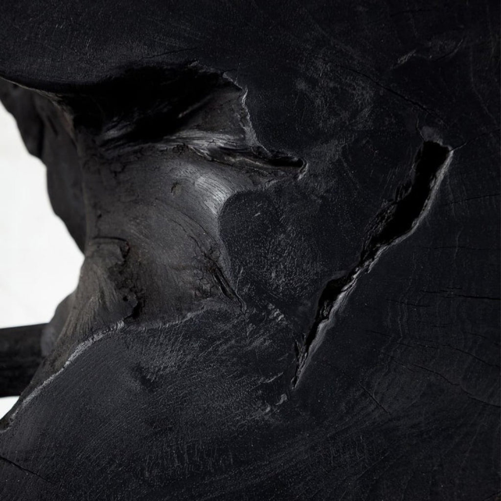 LUCAS ROOT COFFEE TABLE | BLACK - Green Design Gallery