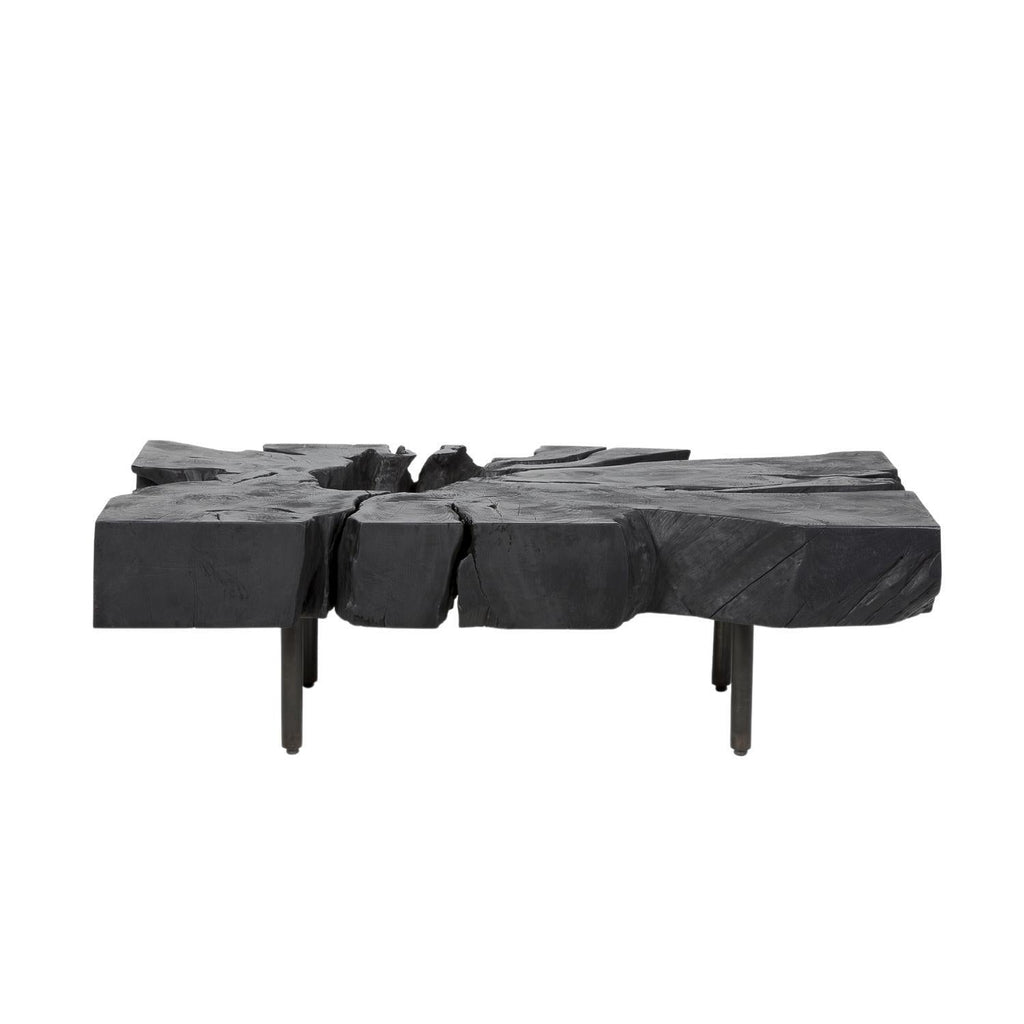 LUCAS ROOT COFFEE TABLE | BLACK - Green Design Gallery