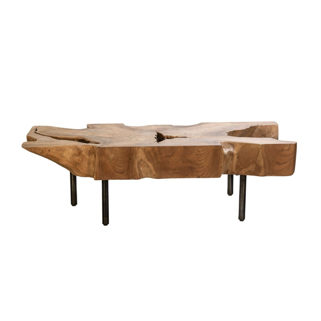 LUCAS ROOT COFFEE TABLE | NATURAL - Green Design Gallery