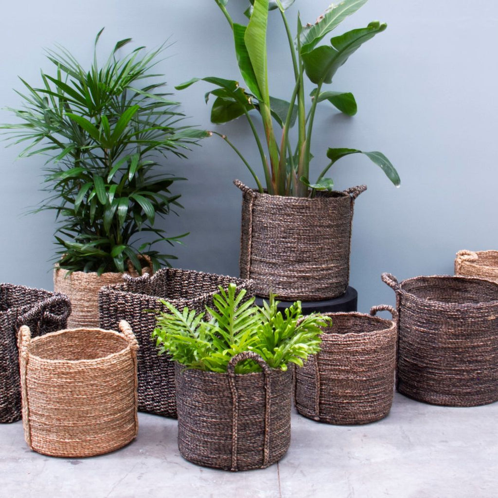 LUCAS ROUND BASKETS | NATURAL | SET OF 2 - Green Design Gallery