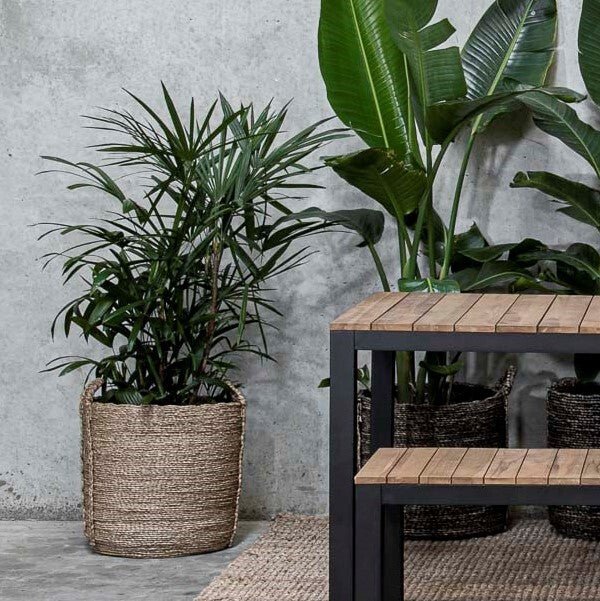 LUCAS ROUND BASKETS | NATURAL | SET OF 2 - Green Design Gallery