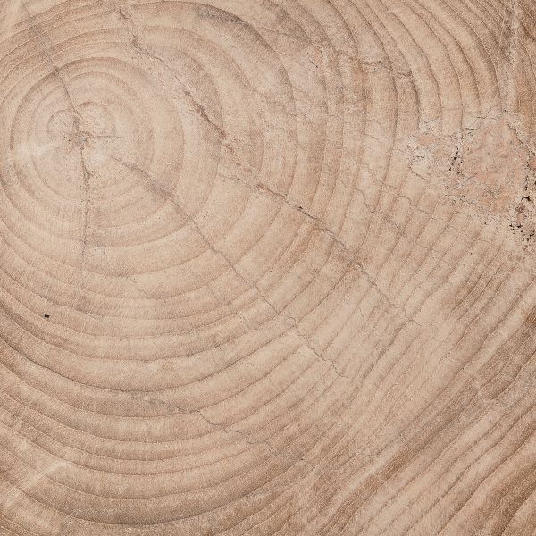 LUCAS ROUND SIDE TABLE - STOOL | RECLAIMED TEAK | NATURAL - Green Design Gallery