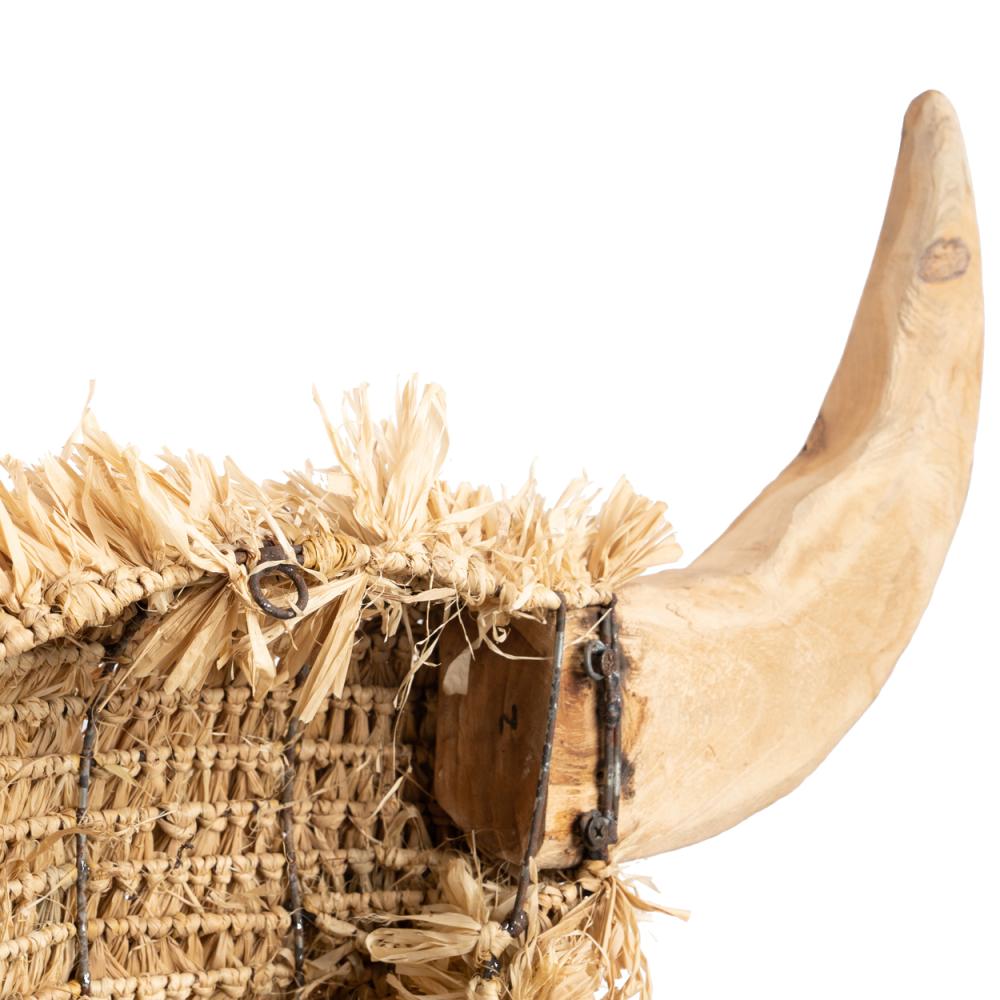 RAFFIA TORO WALL ART - Green Design Gallery