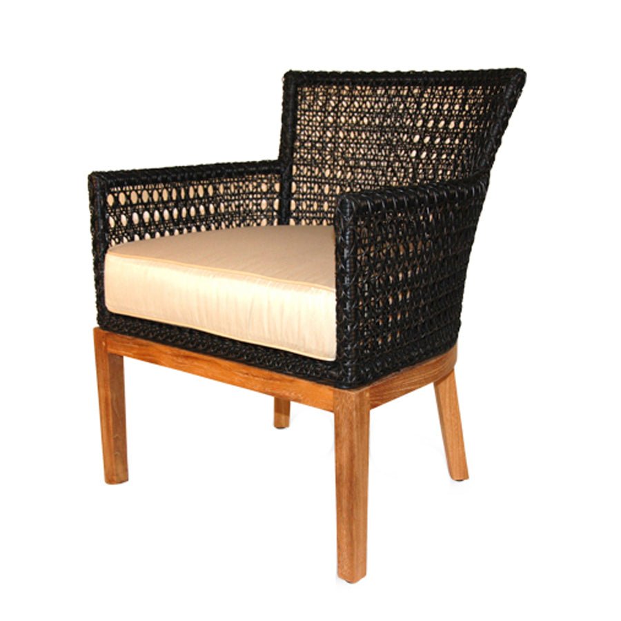 SATYRIKON DINING ARMCHAIR / BLACK (INDOORS-OUTDOORS) - Green Design Gallery