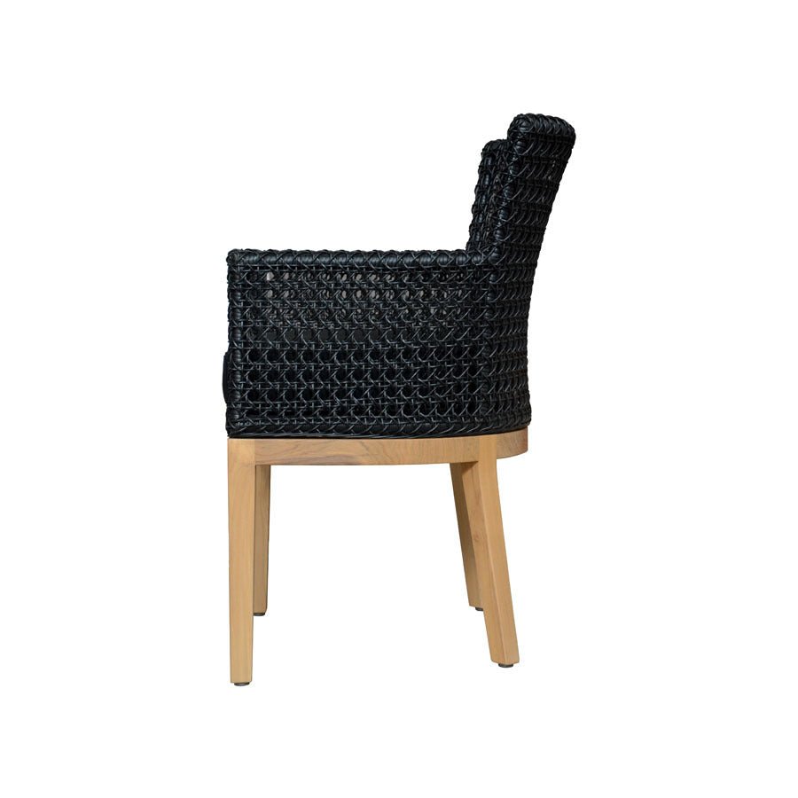 SATYRIKON DINING ARMCHAIR / BLACK (INDOORS-OUTDOORS) - Green Design Gallery
