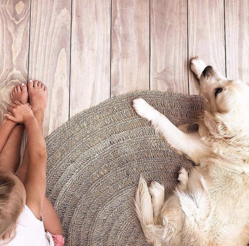 Seagrass Round Carpet | Natural | 200 cm - Green Design Gallery